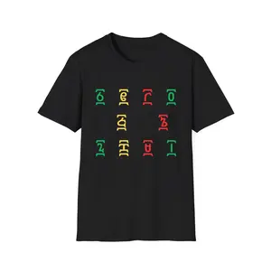 Ethiopian Ge’ez Numbers T-Shirt | ፩-፲ Amharic Numerals Shirt | Habesha Culture Ethiopia Pride Tee