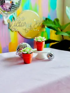 3D Printed Spinny Succulent Fidget Spinner Cute Desk Toy Stress Relief Sensory Spinner Gift
