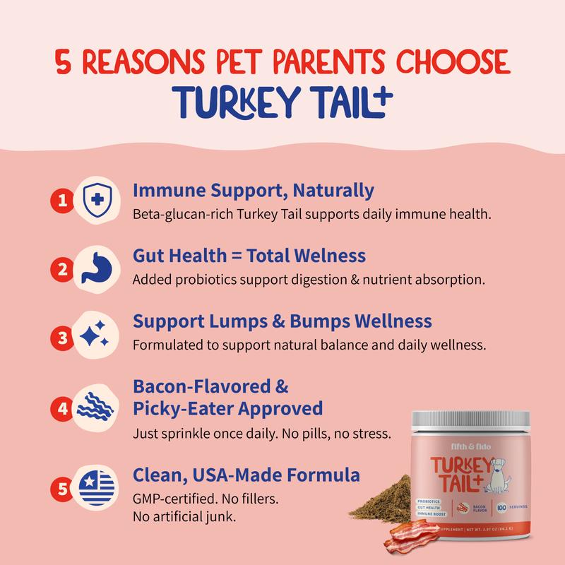 3-Pack of Turkey Tail+ - Dog Food Topper with Probiotics to Support Lipomas, Immune Support & Gut Health - 100 Servings each bottle with Bacon Flavor