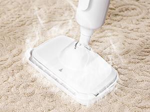 Steam Mop for Floor Cleaning, 2 Washable Pad, Lightweight Floor Steamer Cleaner for Hardwood/Tile/Laminate Floors Carpet