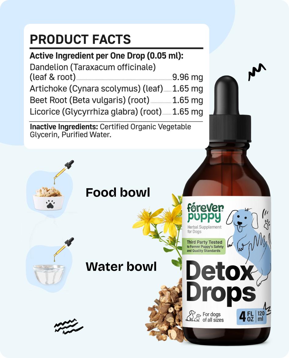 Detox Drops for Dogs - Dandelion Leaf & Dandelion Root Extract for Liver and Kidney Support - Herbal Detox & Antioxidant Support Supplement for Dogs of All Breeds & Sizes - 4 oz Detox Drops for Dogs - Dandelion Leaf & Dandelion Root Extract for Liver and Kidney Support - Herbal Detox & Antioxidant Support Supplement for Dogs of All Breeds & Sizes - 4 oz