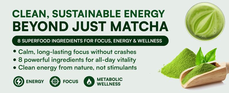 Parrox All-In Matcha with L-Theanine, Green Tea Extract & more for Clean Energy, Calm Focus, & Metabolic Healthcare - Ceremonial Grade - 100% First Harvest Japanese Tea (30 Servings) Parrox All-In Matcha with L-Theanine, Green Tea Extract & more for Clean Energy, Calm Focus, & Metabolic Healthcare - Ceremonial Grade - 100% First Harvest Japanese Tea (30 Servings)