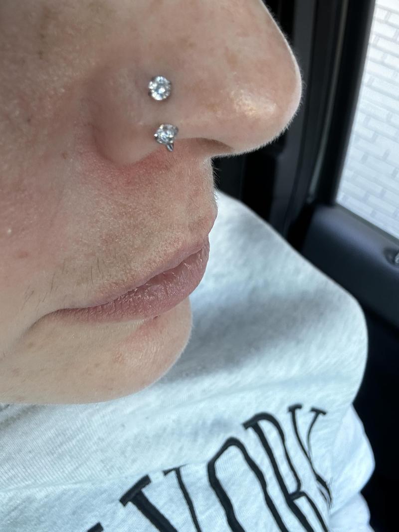 Oufer 18G/20G Horseshoe Ring AAA+ Grade CZ Stones 316L Stainless Steel 7mm 8mm 10mm Sizes Stylish Durable Unisex Nose Hoop for Nostril Cartilage Lobe Piercing