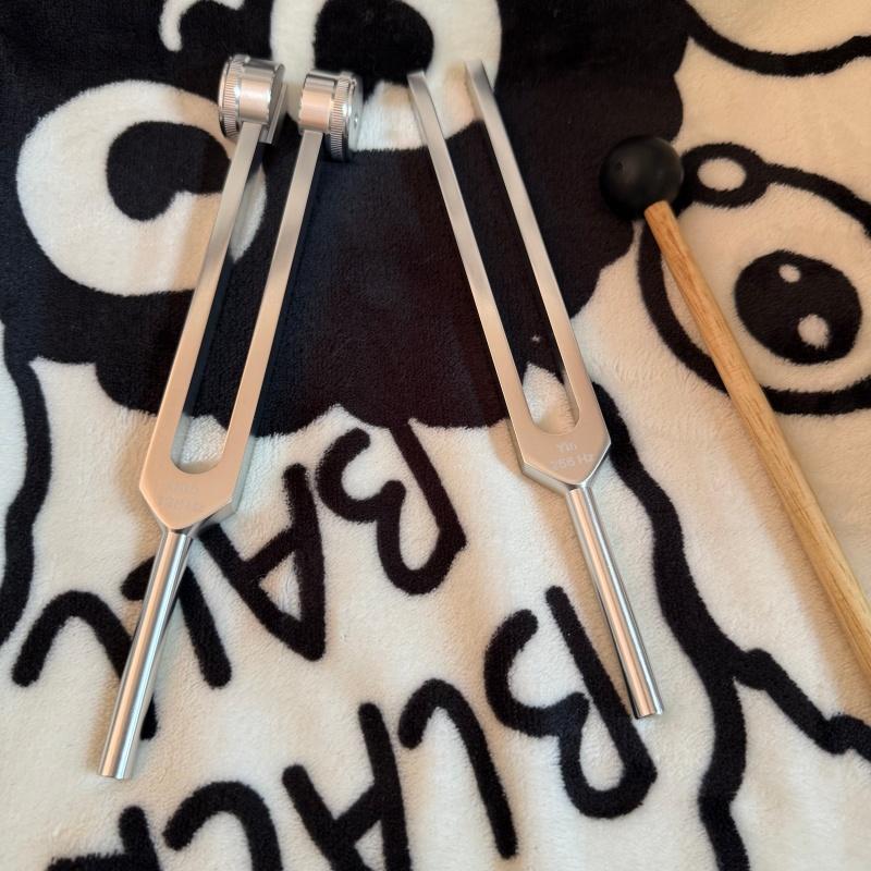 Home Spa-Grade Sound Therapy Set: 5-Frequency Tuning Fork + Activation Stick | 128Hz~384Hz Deep Relaxation | Banish Anxiety and Distractions, Boost Energy | Also Makes an Elegant Table Decoration Home Spa-Grade Sound Therapy Set: 5-Frequency Tuning Fork + Activation Stick | 128Hz~384Hz Deep Relaxation | Banish Anxiety and Distractions, Boost Energy | Also Makes an Elegant Table Decoration