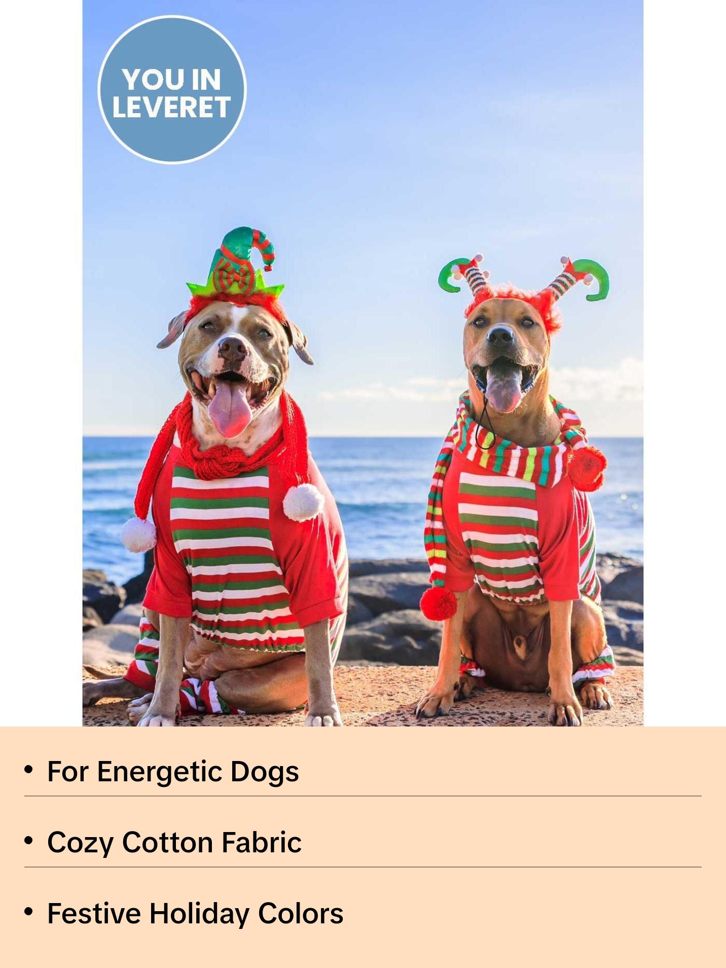 Big Dog Red White & Green Stripes Pajamas