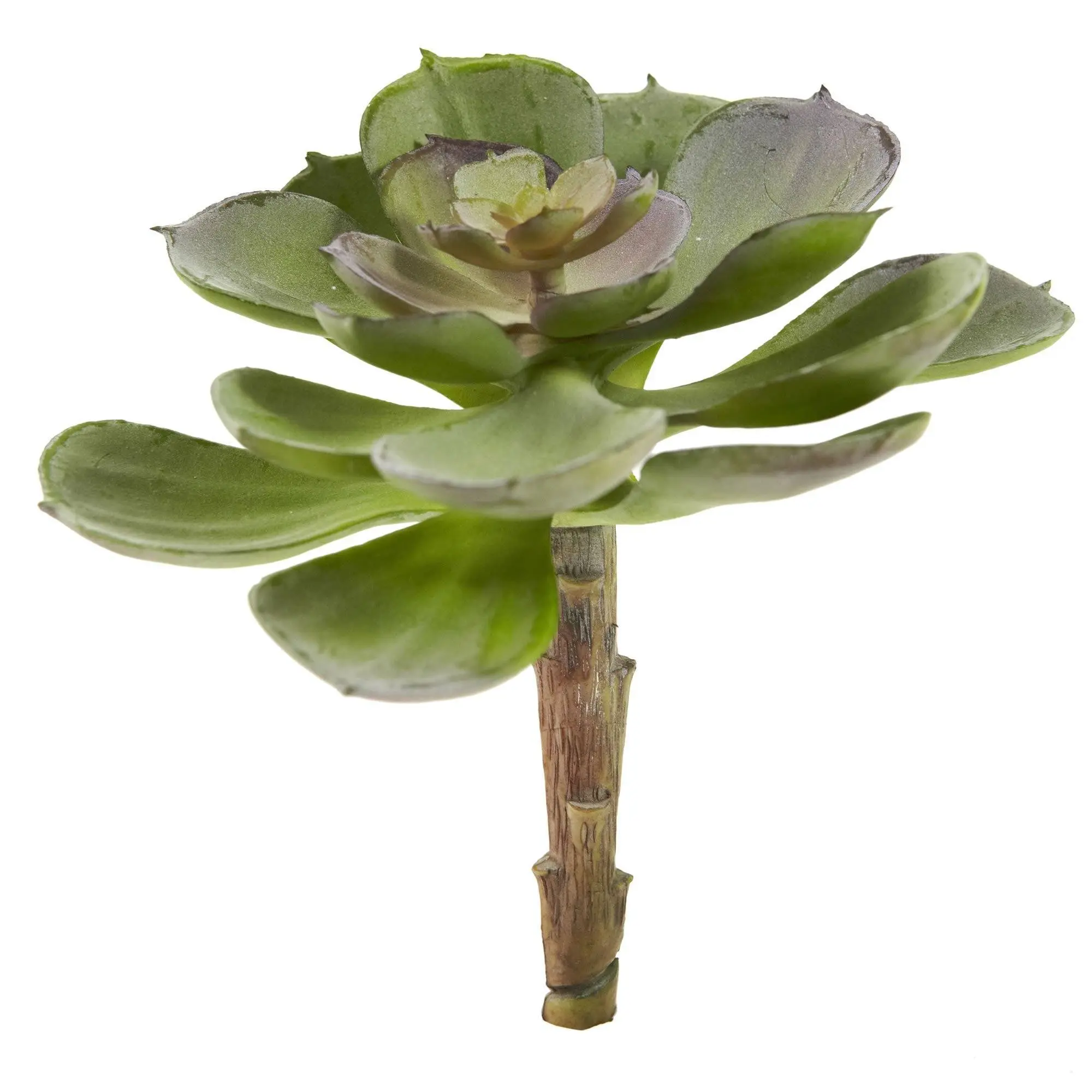 6" Layered Leaf Synthetic Echeveria Succulent Plants (Set of 12) - Decorative Floral Decor Accent, Ideal Gift for Home Supplies
