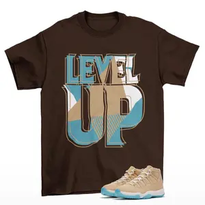 Level Up Jordan 11 H-Town Matching Sneaker Tee Shirt