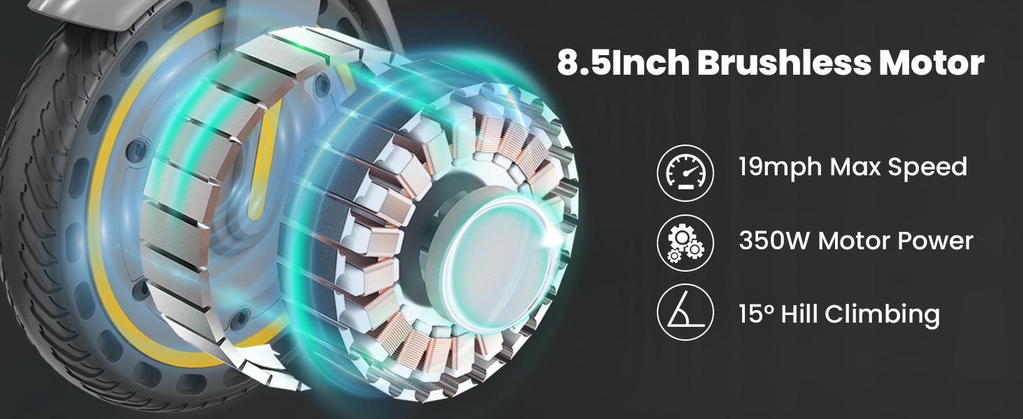 TTS D8 Electric Scooters for Adults 350W Motor 19MPH Top Speed Foldable E-Scooter with Dual Braking App Control Best Christmas Gift