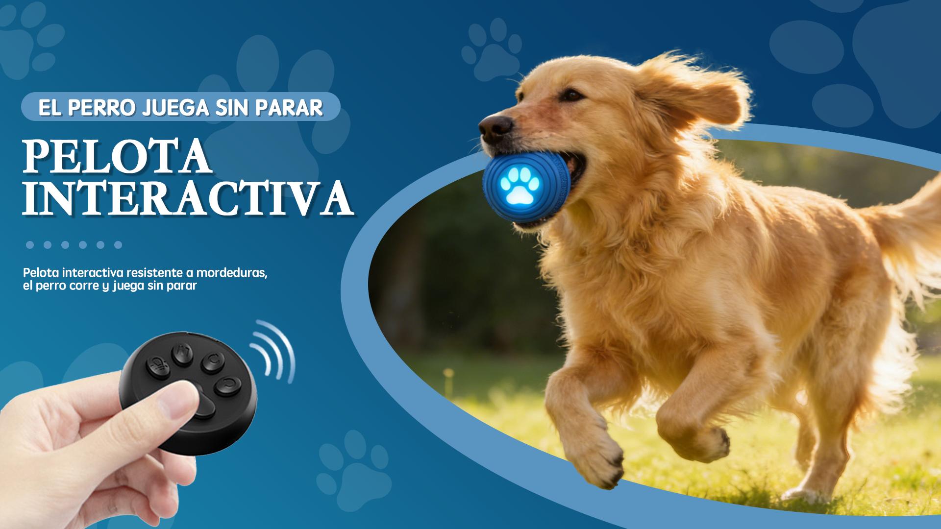 Smart Dog Ball with Remote Control for Medium & Large Dogs, TPU+PC Durable Chew-Resistant Toy