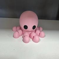 Jumbo Octopus