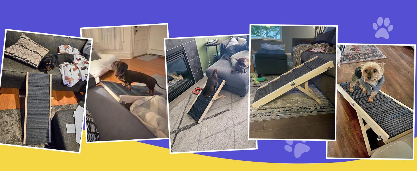 2026 Upgraded Dog Ramp for Couch, Foldable Small Dog Ramp for Low Bed, 4 Adjustable Height from 13'' to 21", Portable Stable Pet Steps with Non-Slip Pad, Pet Ramps Use for Sofa Couch Stairs