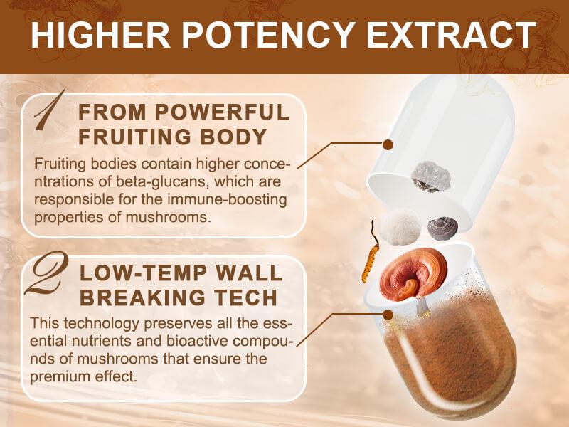 NATURE TARGET Mushroom Supplement, Mushroom Complex with Lion's Mane, Turkey Tail, Reishi, Cordyceps, Shiitake, 14-in-1 Mushrooms for Memory and Focus, 120 Capsules