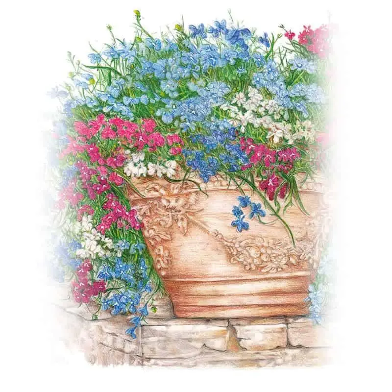 Cascade of Color Trailing Lobelia Flower Seeds, Outdoor Densely Flowering Variety, Ideal for Graceful Garden Bed Edge Softening, Home Improvement Garden Supplies