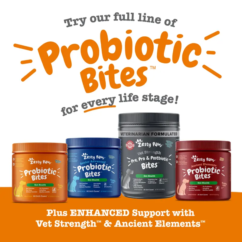 Zesty Paws Probiotic Bites for Dogs - Canine Nutritional Supplement with Six Probiotics for Gut Health & Immune Function 7