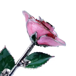 Platinum Forever Rose - Pink