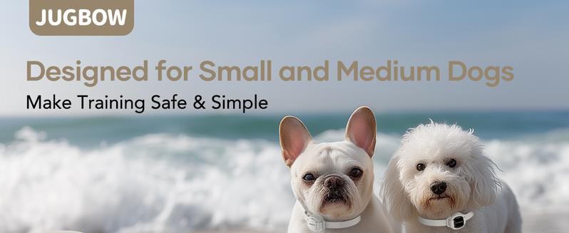 Jugbow Shock Collar for Small Dogs - 4200FT Dog Training Collar with Remote for 5-30lbs Mini Small Dogs, IPX8-Waterproof Rechargeable E-Collar with Beep (1-9), Vibration(1-3), Safe Shock(0-16) DT54