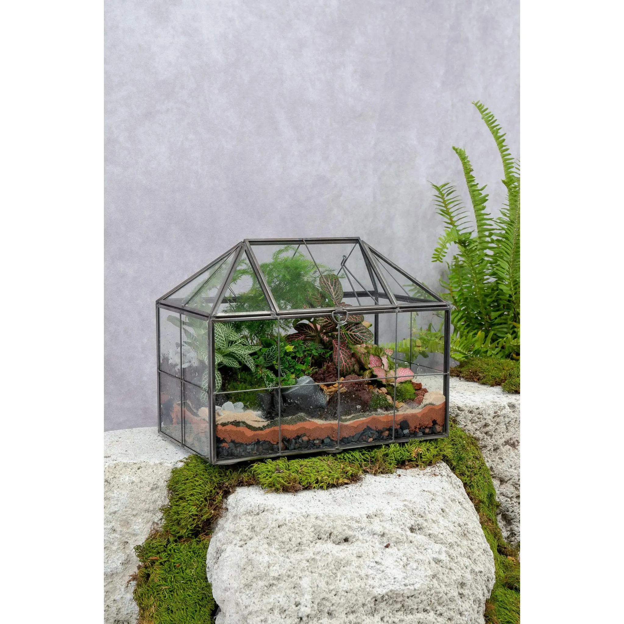 Greenhouse Terrarium
