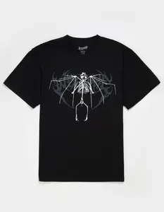 WELCOME SKATEBOARDS Echo Mens Boxy Tee