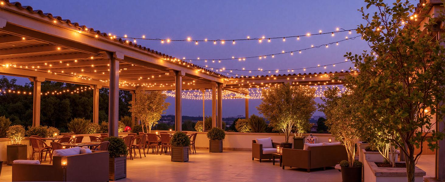 Minetom 82ft 250LED Color Changing Christmas Halloween Tree Lights, LED RGB String Twinkle Lights, 16 Milion Adjustable Colors Smart Fairy Lights with Remote & App & Timer for Xmas Tree Holiday Party Minetom 82ft 250LED Color Changing Christmas Halloween Tree Lights, LED RGB String Twinkle Lights, 16 Milion Adjustable Colors Smart Fairy Lights with Remote & App & Timer for Xmas Tree Holiday Party