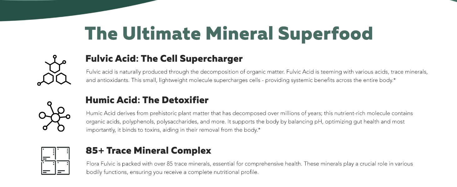 Flora Fulvic | Natural Trace Mineral Complex with Fulvic Acid & Humic Acid – 550 mg, Mined in Utah, Supports Gut Health & Digestion – 8 fl oz