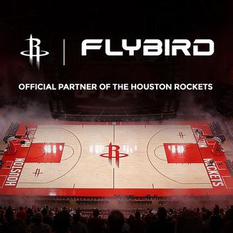 FLYBIRD Squat Machine for Home,Rodeo Core Exercise Machine,330lbs Foldable,Adjustable 4 Resistance Bands,Ride & Rowing Machine for Botty Glutes Butt Thighs,Ab Back/Leg Press Hip Thrust