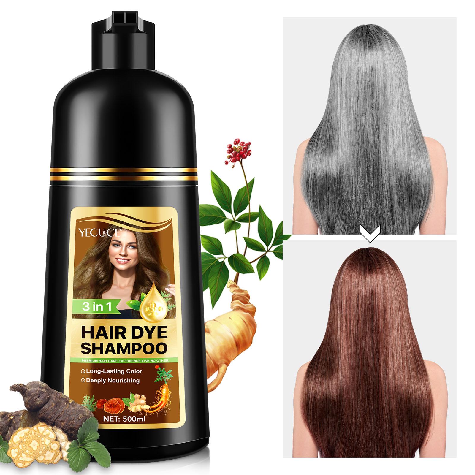 Black Hair Dye Shampoo for Woman & Man, Argan Hair Color Shampoo 3 in 1, Semi-Permanent Gray Hair Coverage, Mild Formula - 500ml