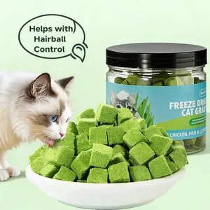 70g Cat Grass Treats for Indoor Cats, Freezed Dried Cat Grass Teething Stick Snacks for Cats, Edible Feline Chew Toys for Hairball Control and Oral Health