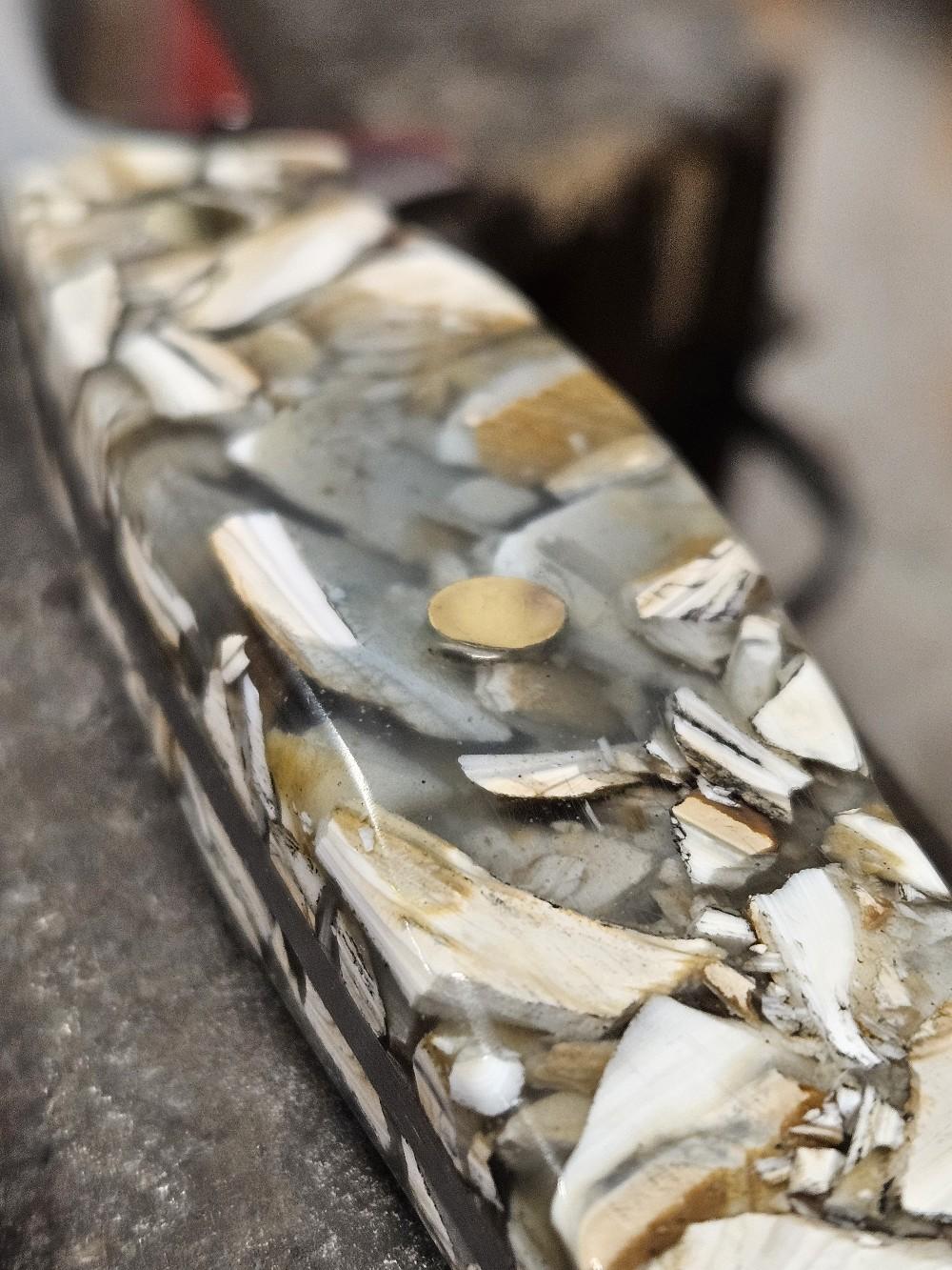 Signature Stone Harbor Fillet Knife - 8-inch Blade Edge & Atlantic Seashell Handle