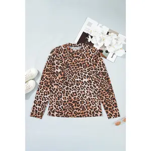 Brown Plus Size Mock Neck Leopard Mesh Top