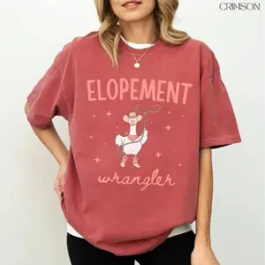 Comfort Colors Elopement Expert TShirt Funny ABA Therapist Tee BCBA RBT Behavior Analyst Gift Goose Humor T-Shirt Special Education Teacher
