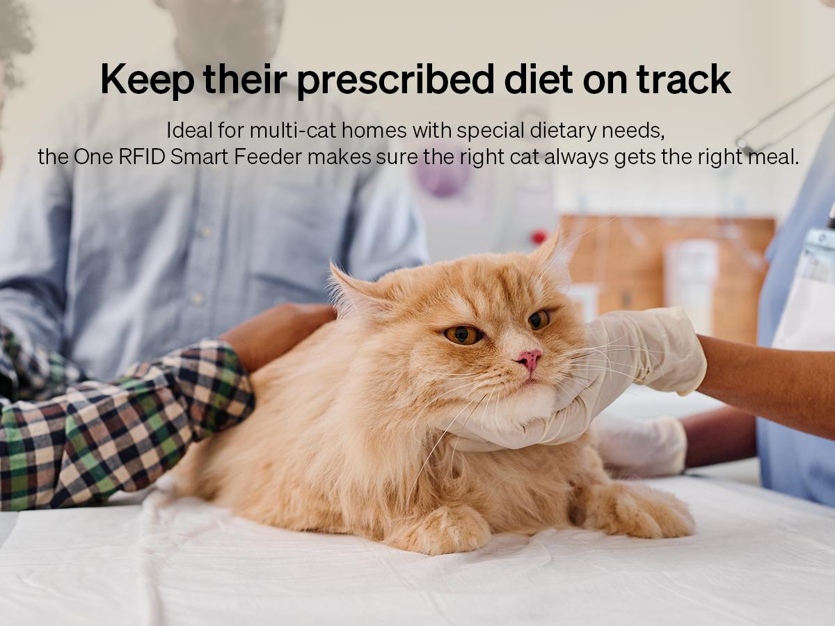 PETLIBRO RFID Automatic Cat Feeder,5G Wi-Fi pet feeder with 3L capacity, app control, and collar tag sensor for 1-10 programmable meals PETLIBRO RFID Automatic Cat Feeder,5G Wi-Fi pet feeder with 3L capacity, app control, and collar tag sensor for 1-10 programmable meals