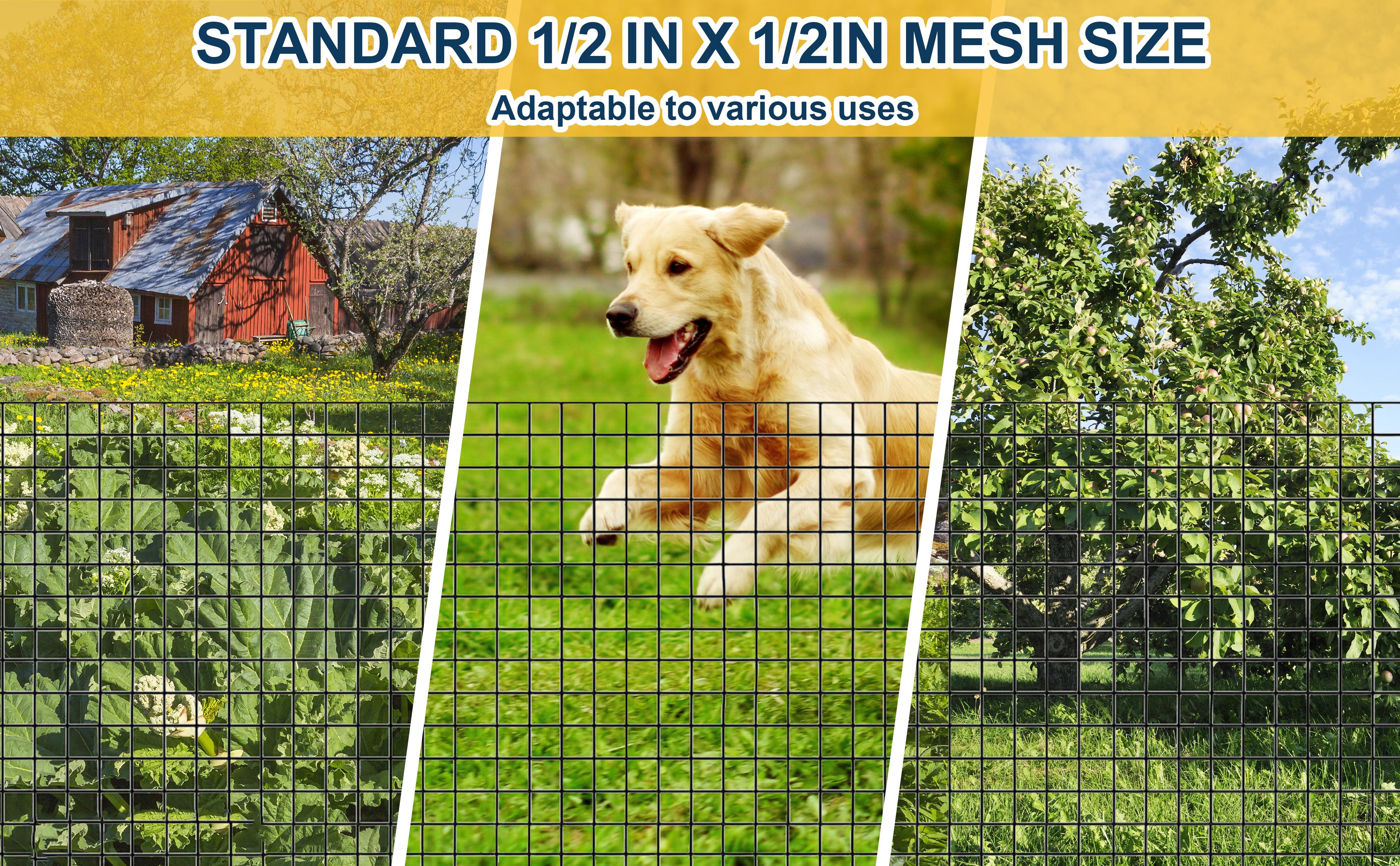 Hardware Cloth, 1/2 Inch 48" x 100 ft Black Vinyl Metal Mesh Roll, 19 Gauges Chicken Wire Fence Roll, Welded Wire Fencing PVC Coated Wire Fence Rolls for Chicken Coop, Poultry Hardware Cloth, 1/2 Inch 48" x 100 ft Black Vinyl Metal Mesh Roll, 19 Gauges Chicken Wire Fence Roll, Welded Wire Fencing PVC Coated Wire Fence Rolls for Chicken Coop, Poultry