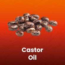 Arctic Beauty Batana Oil (Liquid & Cream Set) - All-in-One Scalp Health & Hair Health Support - 100% Pure and Unrefined Honduran Oil - Organic & Vegan Haircare- (5 oz.)