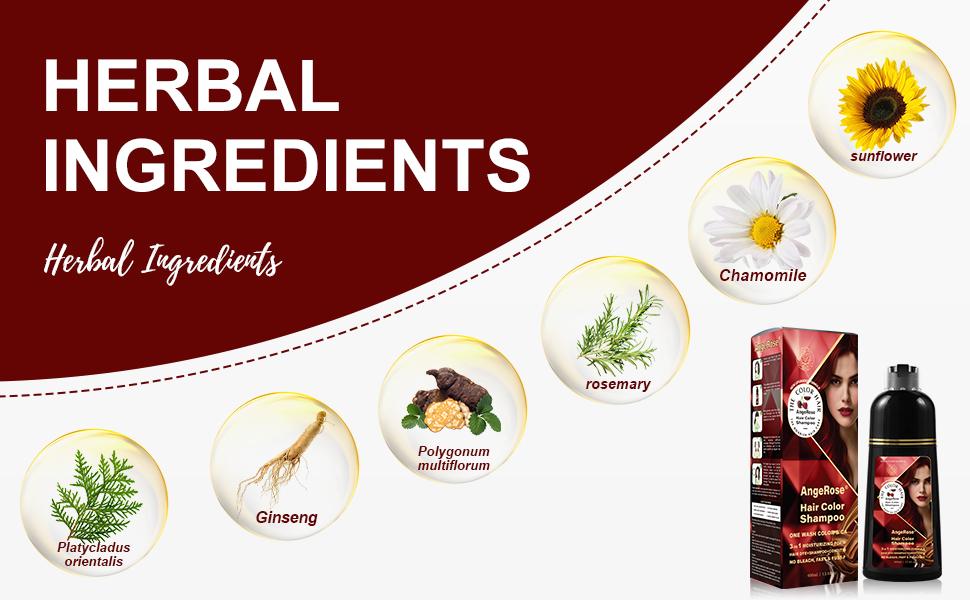 AngeRose Hair Color Shampoo, Hair Dye Shampoo, Instant Grey Hair Coverage, Wine Red, Chestnut Brown, Purple, Perfect Gifts for Women&Men AngeRose Hair Color Shampoo, Hair Dye Shampoo, Instant Grey Hair Coverage, Wine Red, Chestnut Brown, Purple, Perfect Gifts for Women&Men