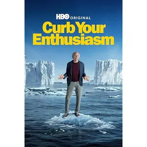 Curb Your Enthusiasm Complete Series DVD Set - Comedy TV Show, Seasons 1-10, DVD Format