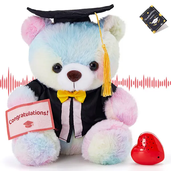 WEWILL 10" Graduation Bear Class of 2026, Heartbeat Recordable Teddy Bear with Cap Diploma Gown, Recording Rainbow Grad Bear w/30 Sec Recorder, Graduation Gift for Kindergarten High School College