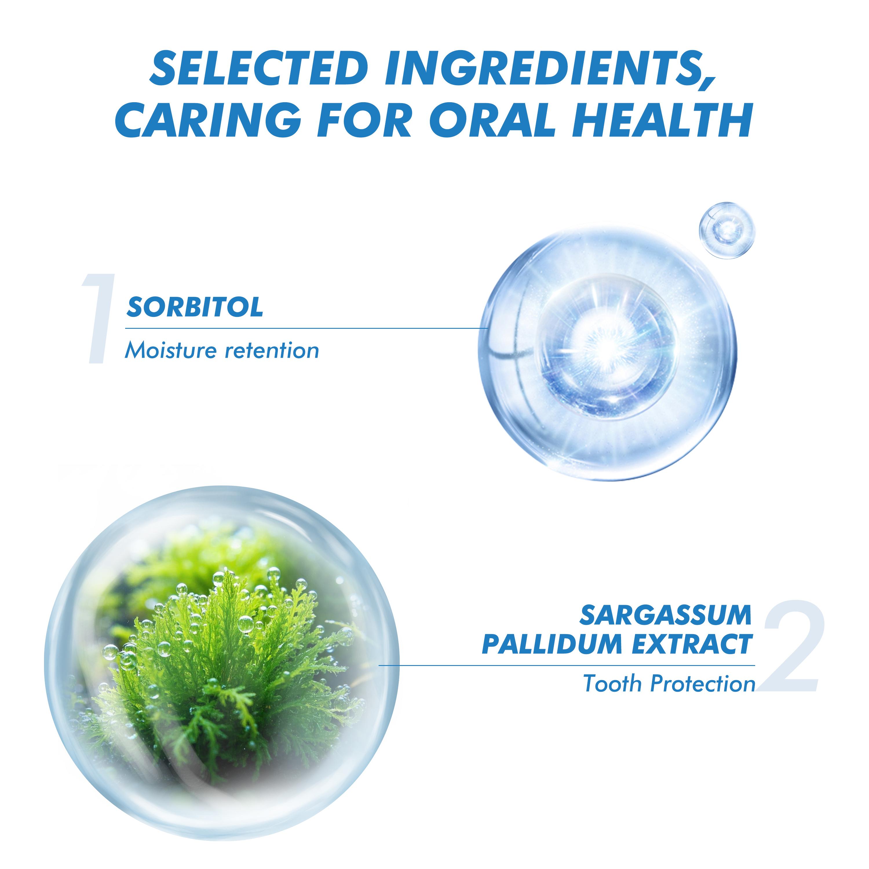 CEELIKE OCEAN MINT Fresh Breath Toothpaste | Deeply Cleans Teeth, Provides Long-Lasting Freshness, Gently Cares for Oral Health