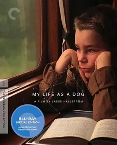 My Life as a Dog (Criterion Collection)  [BLU-RAY MOVIE]