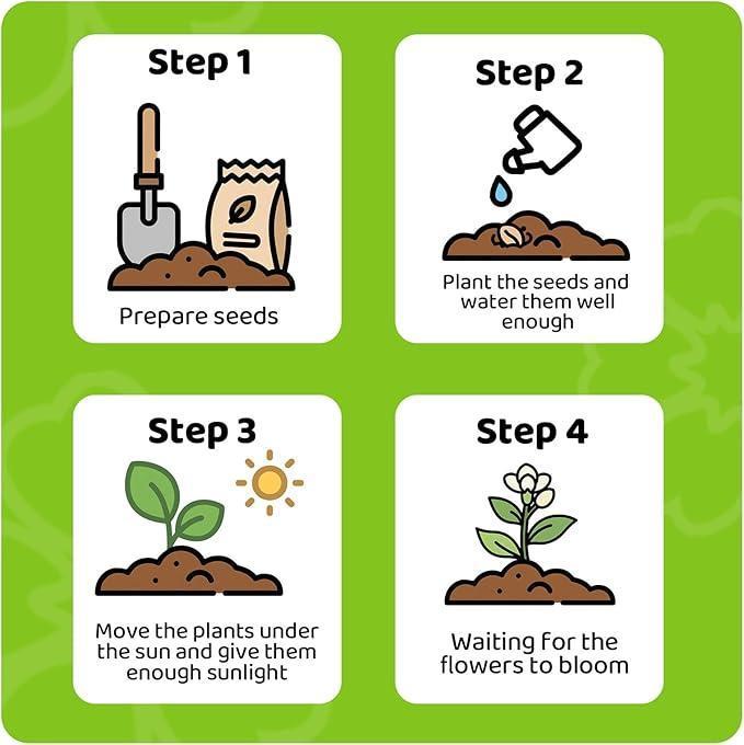 200+ Hollyhock Seeds | Bright, Colorful Double Flowers | Long-Lasting Outdoor Flowers | Great for Home and Garden Decoration