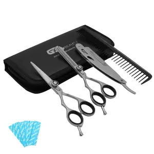 Professional J2 Right Hand Scissors Kit, Dull Silver, 5.5 inch