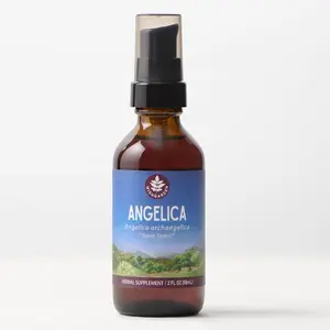 WISHGARDEN Angelica Root Tincture - Angelica archangelica - Supports Healthy Digestion Respiratory Function & Circulation - Gluten-Free Vegan - 2 fl oz Pump Top Bottle