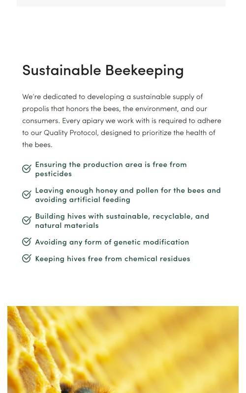 Beekeeper's Naturals Sinus Support - 30 Day Supply