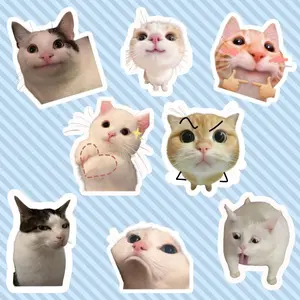 Cute Cat Meme Vinyl Sticker books Kitty Faces Set, Waterproof Decals for Laptop, Water Bottle, Funny For Lover Cat