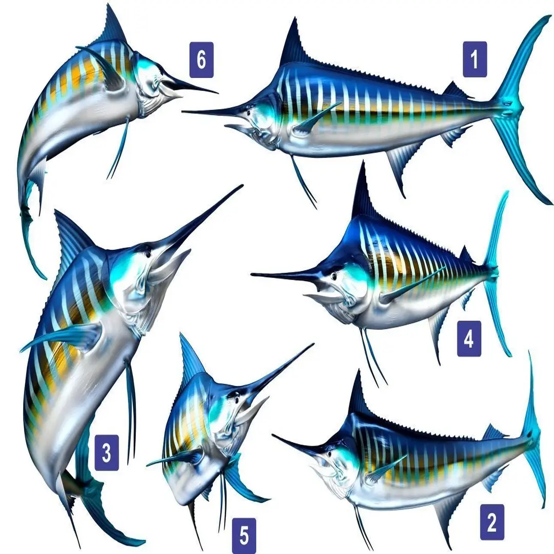 Blue Marlin Beautiful Fish Decal | Fishing Decal for Boat, Car, Vehicle, Truck Etc. | Waterproof Vinyl Sticker | Many Sizes & Styles Available | 12" to 40" by Digital Fish Art