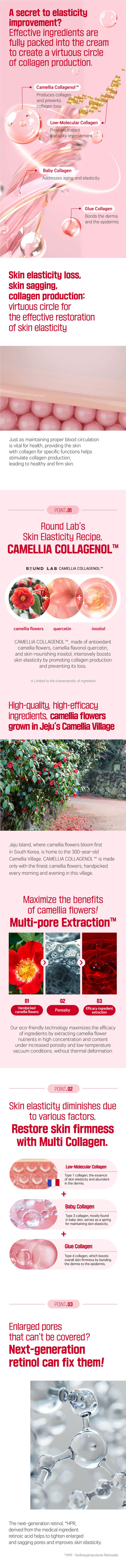 ROUND LAB Camellia Deep Collagen Firming Cream 50ml Moisturizers Skincare Comfort Skin Repair