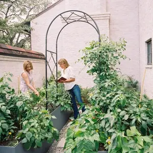 Lattice Arch Trellis II - Classic Narrow Garden Path Arch for Vining Crops & Climbers - Durable Wrought Iron with Graphite Finish - Includes Gardenary Guide to Growing Vertically