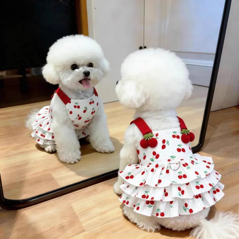 Cute Ins Style Summer Princess Dress for Cats and Small Dogs, Thin Breathable Pet Skirt for Teddy, Bichon and Pomeranian, Puppy Clothes