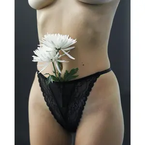 Verona Lace Panty