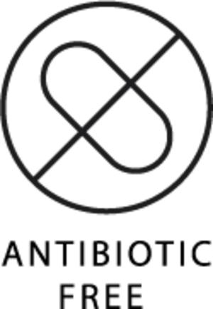 Organic Spirulina Powder