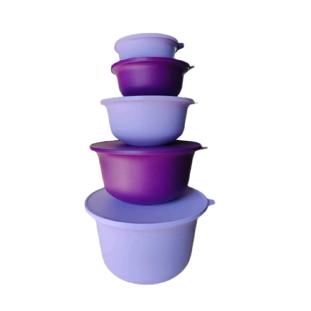 Purple Aloha Bowl Set - Stackable Plastic Bowls with Lids for Kitchen Storage and Serving
